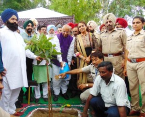 Gov plant a sapling in Ferozepur