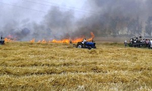 Wheat crop gutted in fire at Gillan Wala village
